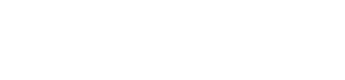 Motion Flair